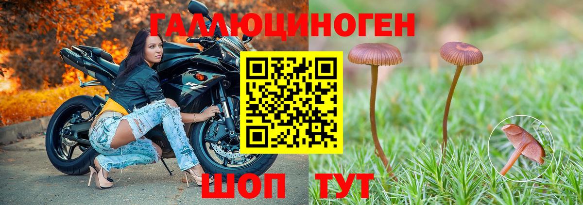 Галлюциногенные грибы GOLDEN TEACHER  Вход с VPN  Елабуга 